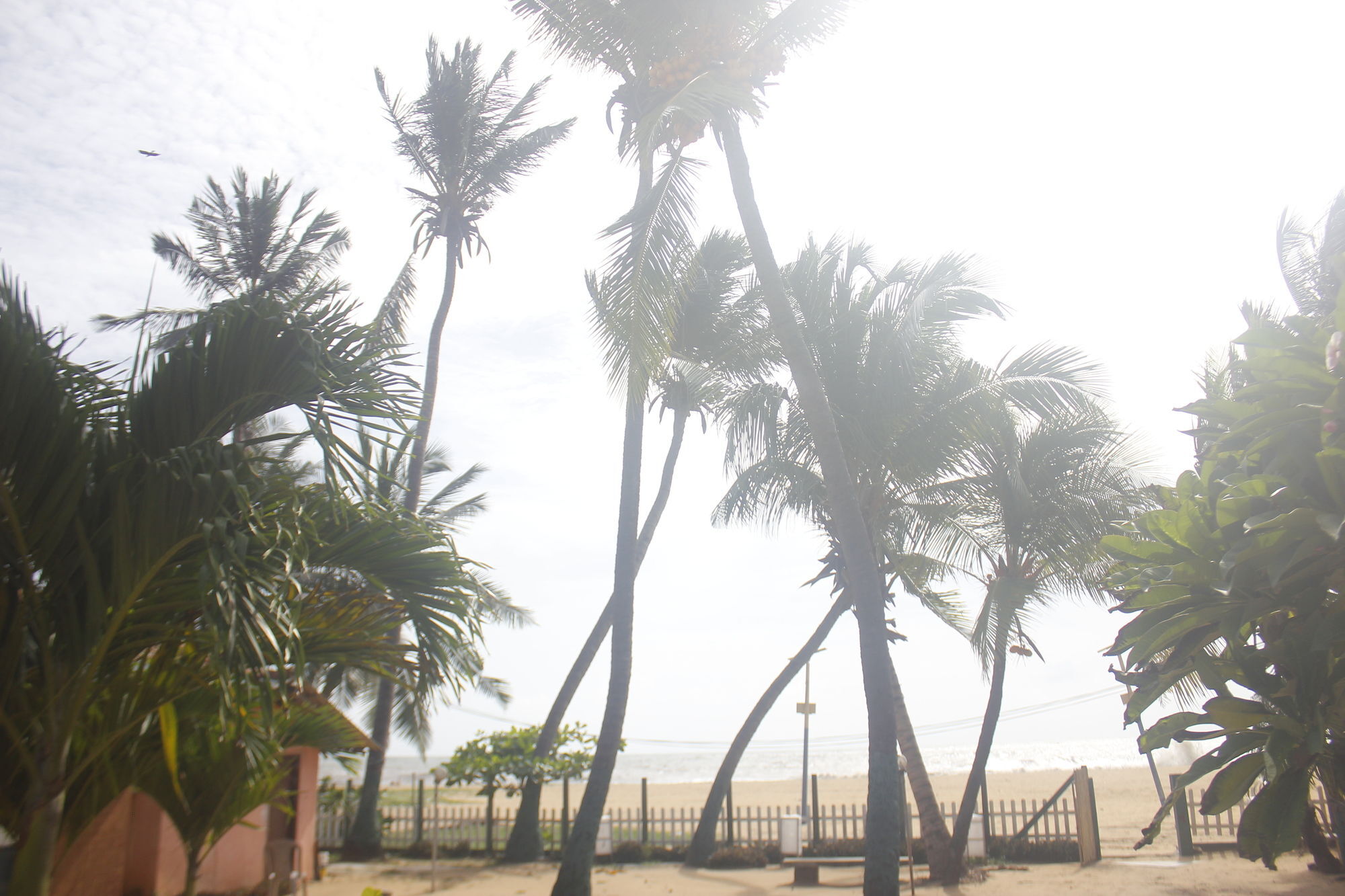 Star Beach Guest House Negombo Esterno foto